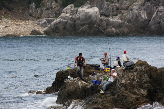 がまの口では石鯛が上がっていました。私次回はこれ狙いで。
