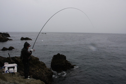 何やら掛かってきました。このとき雨ボッタボタ。