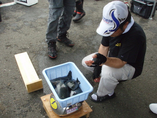 ¸¡Î̤λþ´Ö¤Ç¤¹¡££µÉ¤½ÅÎÌ¡£