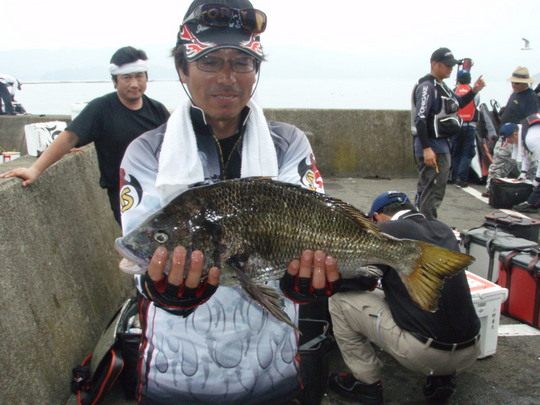 ¤³¤ó¤Ê¥Á¥Ì¤â¡£Äà¤ê¿Í¤Ï¹âºä¤µ¤ó¡£