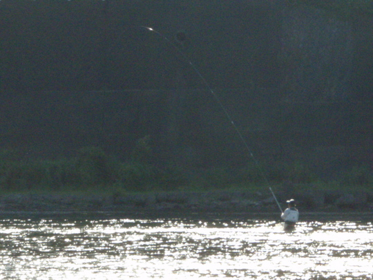 ²«ºª»þ¤ÏÆþ¤ì³Ý¤«¤ê¤Ë¤Ê¤ê¤Þ¤¹¡£¥®¥ê¥®¥ê¤Þ¤Ç¤¬¤ó¤Ð¤Ã¤Æ¡£