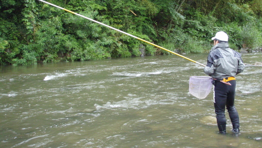 場所を変えても雨はすごい勢いです。