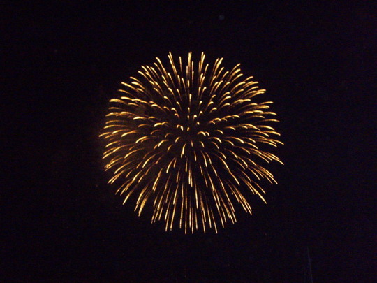 大きいのもありました