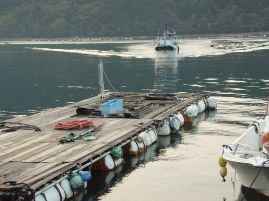 ここが英渡船の乗り場