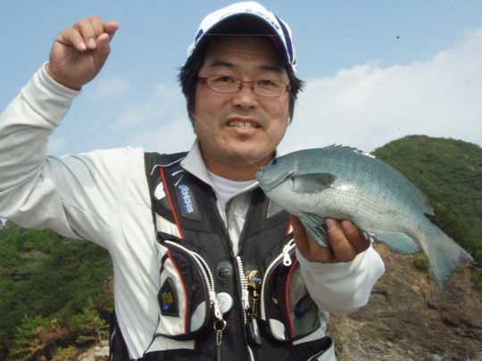 グレも釣れました〜楽しいですね〜。