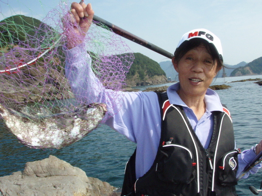 アイゴも釣れました〜。