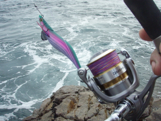 まずは何が何でもエギング