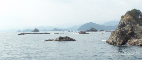 いい磯が沢山あります。