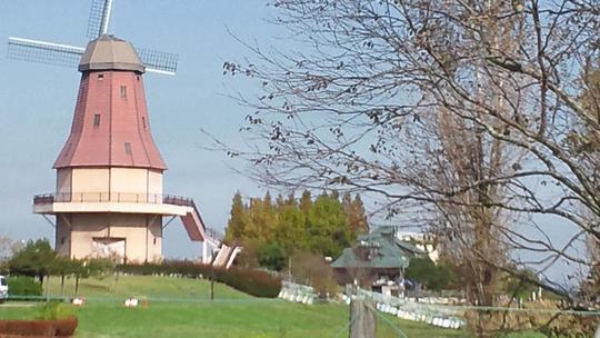 霞ケ浦総合運動公園