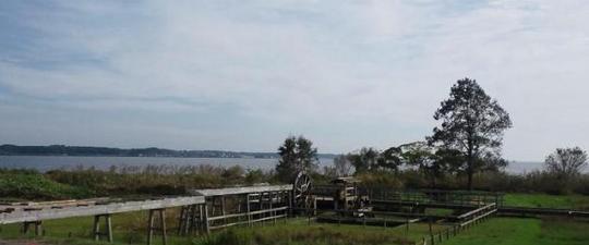 このあたりの風景を見ているようです