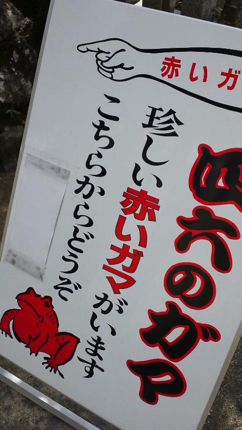 四六のガマの看板