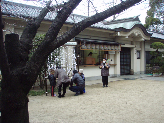 カミサンに「みくじは?」と聞いたら、今年はやめとくと。去年引いたのが当たってしまったんだな。