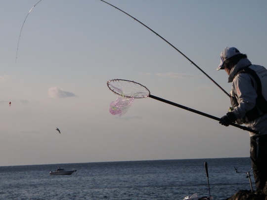 今年は春から幸先がいいです。(^◇^)