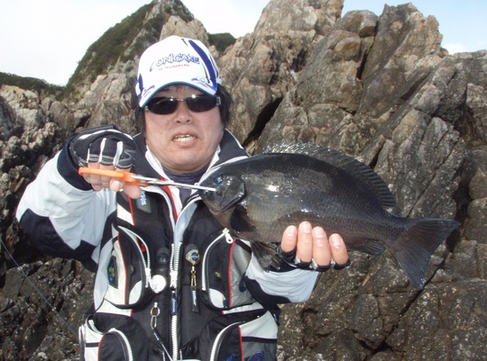 平均サイズです。