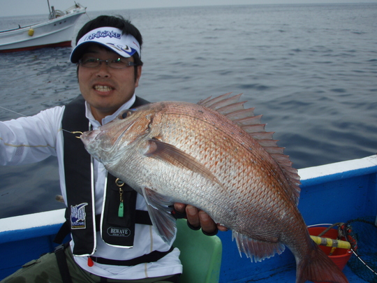 イエーイ真鯛だぜ!