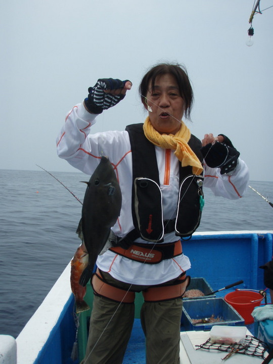 でっかいウマズラハゲ