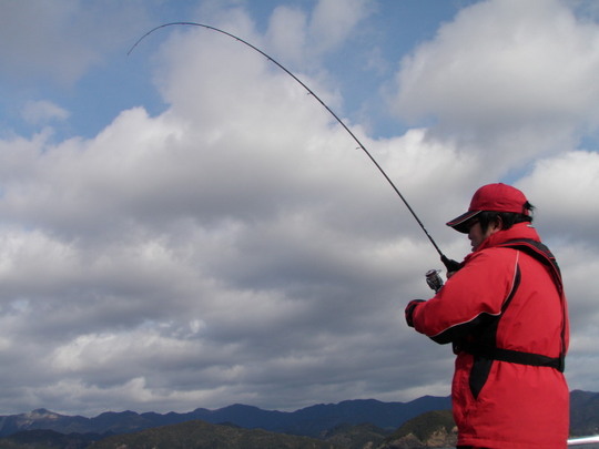 やっと掛かりました。