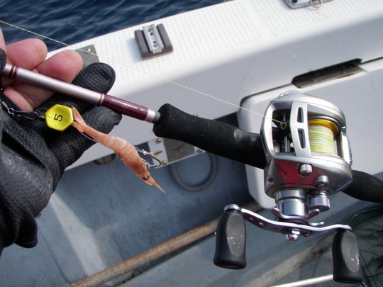 テンヤはこの仕掛け。この日は5号で気持ち軽いかなって感じ。