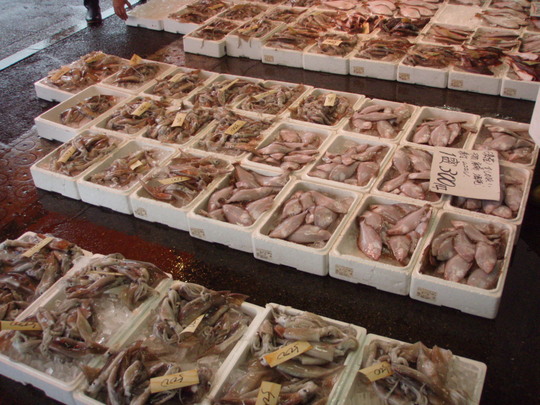 陳列棚はすべて流されて大半は土間に並べてあります