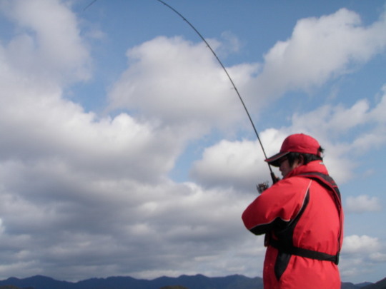 こ~ンな感じでビュっビュっビュっとしゃくりを入れてます