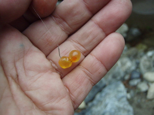 二つがけにしています