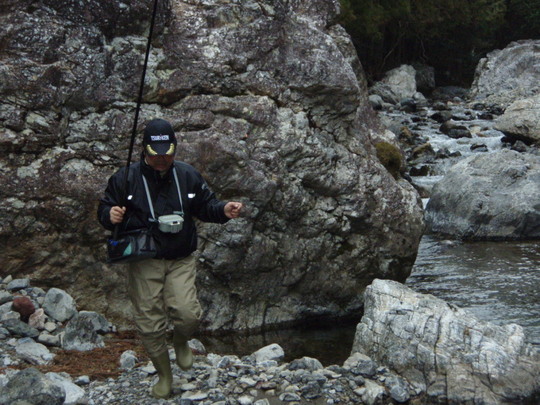 見極め(あきらめ)の早い私です