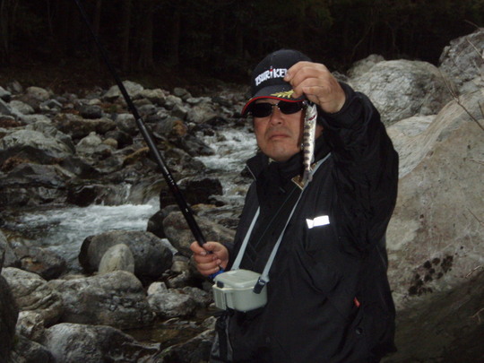 私に小さいアマゴが来ました。