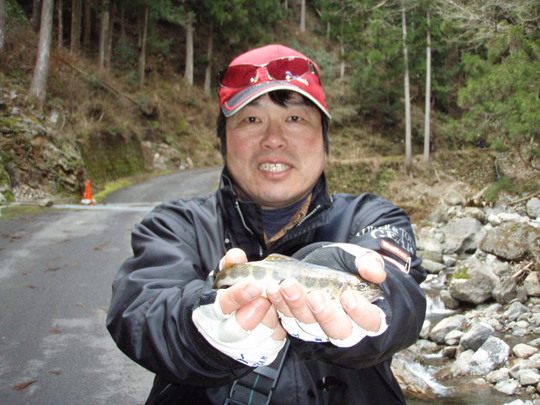 ひれピンのアマゴニ出会いました。