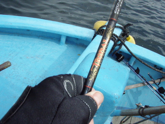 シャローではもっぱらTRAIVAL