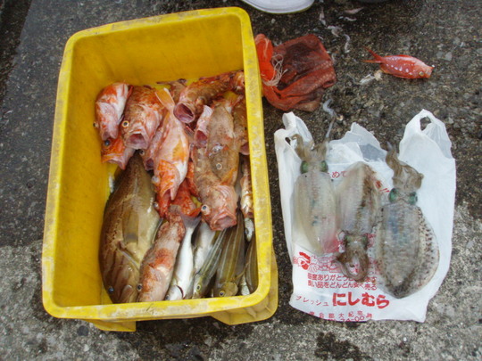 いろいろ釣れました。