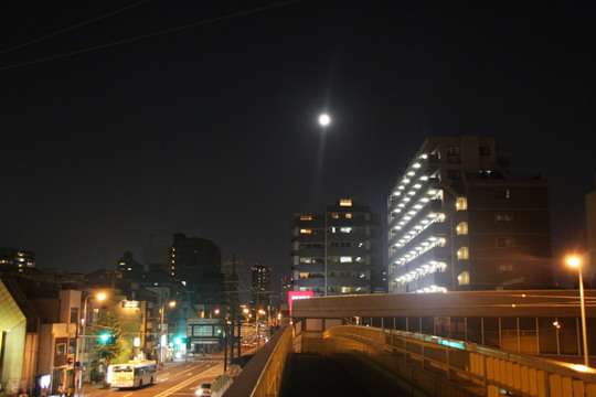 別の角度から、撮影はカミサン