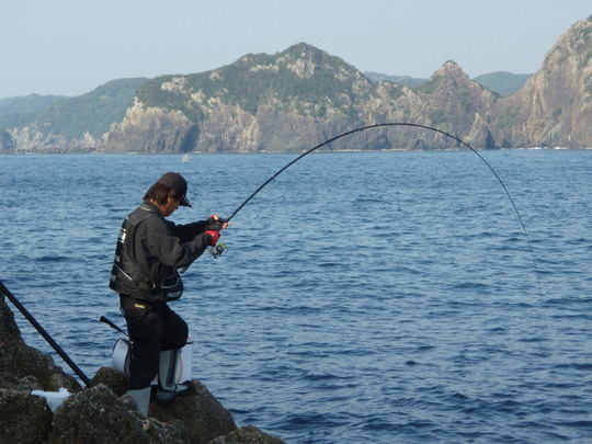 大谷さん(私たちは大谷名人と言ってます)の可憐な竿さばき
