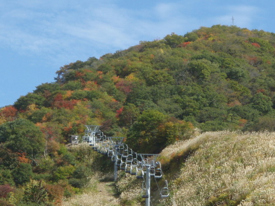 山も色つき始めた・・・。