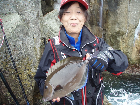 こんな三の字やら