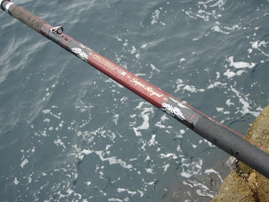 ダイコーPROFIELD GAZE SPECIAL 520