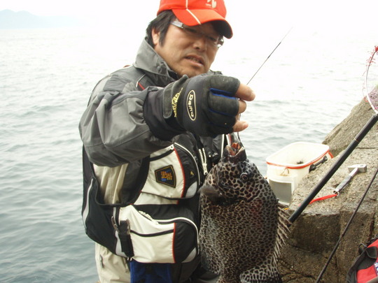 ちっさいけどまたまたGET〜〜(^◇^)