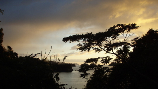 朝の三浦の風景