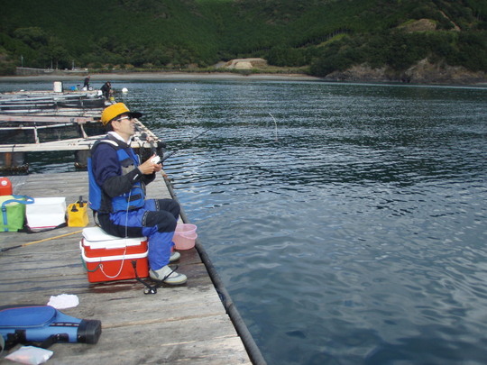 次々に竿を曲げる伊達さん。