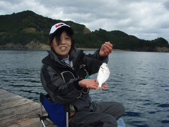 カミサンにヘダイ