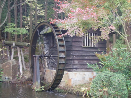 こんな風景にも出会えます