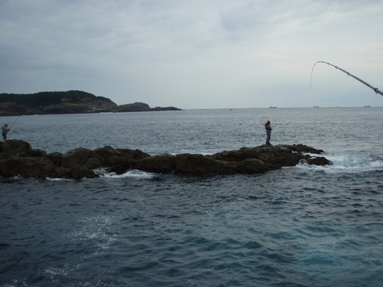 向かい(鈴木島)の人もアオラ〜