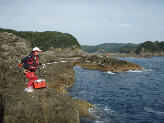 お〜いいのが来ました!!