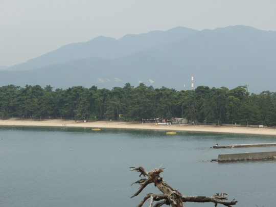 白砂青松で有名な気比の松原