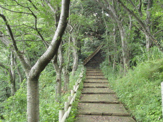 展海広場に抜ける道