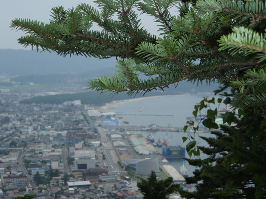 中腹から敦賀市内を見る