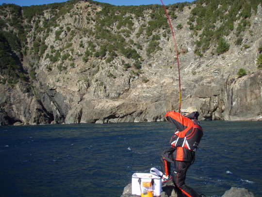 Æ£Ì¤ó¤Ï¿©¤¤½Â¤ê¤ÎÃæ¤«¤é¥¢¥¿¥ê¤òϢȯ