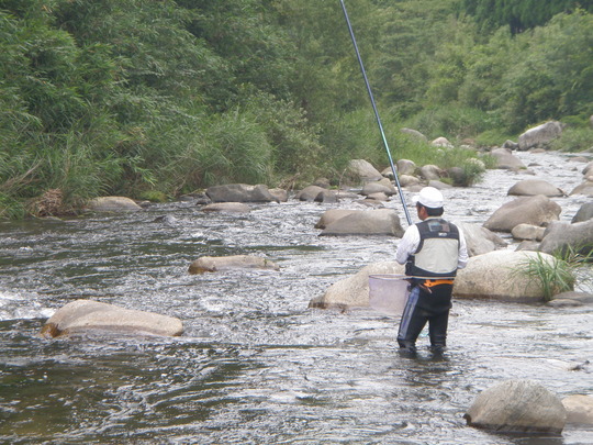 鮎がきれいで大きいのが魅力です