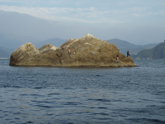 これがカモメという磯。港向きがポイントです。