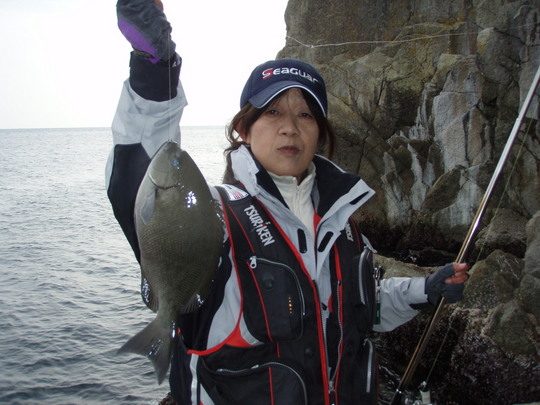 まあまあの尾長グレでした