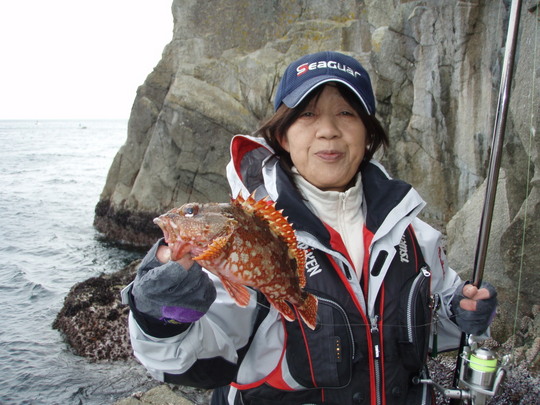 お土産にちょうどいいガシラ